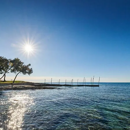 Avantgarden * Umag
