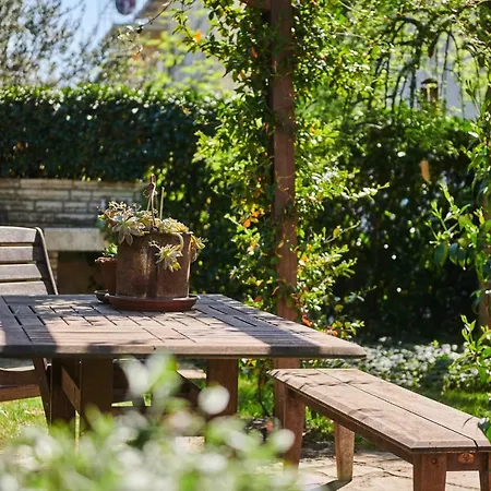 Apartmán Avantgarden *
