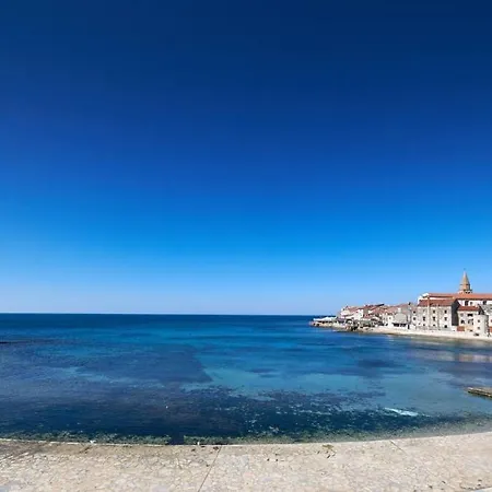 Avantgarden * Umag